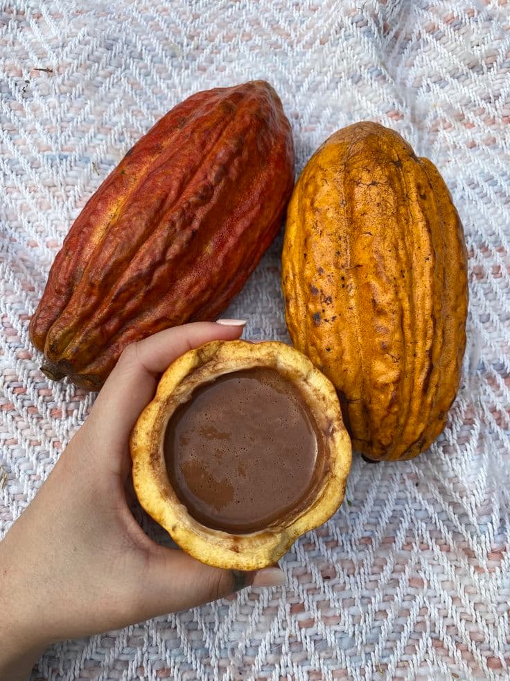 Nalévání kakaa do šálku